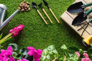 I Segreti per un Giardino Verde e Rigoglioso tutto l’Anno
