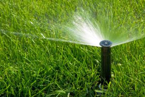 Come Ottimizzare l’Irrigazione per Risparmiare Acqua e Migliorare la Crescita delle Piante